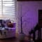 5ft. Pre-Lit Halloween Black Twig Artificial Tree with 240 Orange & Purple LED Lights
